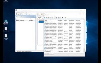 Migration of a WS2008 R2 Source Server to WS2019 Destination